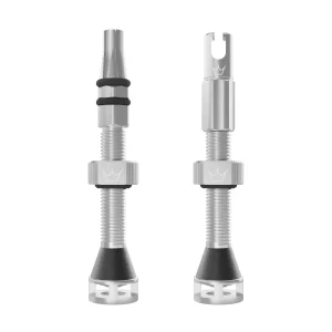 Válvulas Tubeless PEATY'S HOLESHOT FAST FLOW 42mm (x2) Prateado